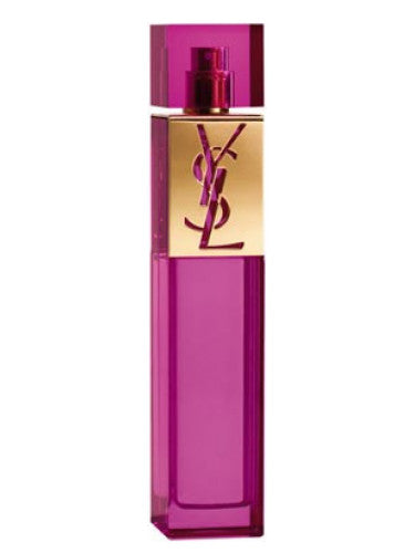 YSL Elle