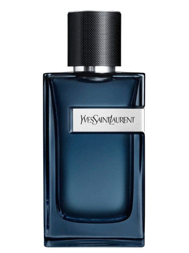 YSL Y Intense